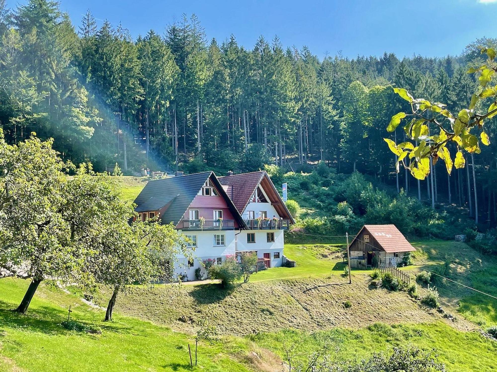 Ferienwohnung Deine Rauszeit سيباتش المظهر الخارجي الصورة